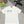 GC 2026 Men's Short-Sleeve T-Shirt Print Cotton 641813