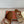 BUBBLE IN MULTICOLOR RAFFIA MIX BROWN LAMBSKIN GOLD HARDWARE