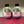 GG 26ss Screener Sneaker Beige Purple Green Fabric Calfskin 697904