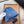 BEANIE HAT IN DOGGER BLUE WOOL 332396