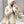 DIOR 25S TWO-PIECE SET 707