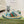 GG 26ss Screener Sneaker Beige Blue Green Cowhide 697181