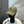 LP Baseball Cap Cotton With Brown Logo 268957