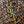 YSL 2026 Icare Wooden Bead 46cm Brown Woven Bag