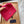 BONNET EN LAINE ROSE VIF BEANIIE 335037
