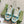 GG 26ss Screener Sneaker Beige Blue Green Cowhide 697181
