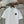 CC 2026 Latest Short-Sleeve T-Shirt Cotton 364344