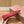 LP POINTED-TOE BALLET FLATS 25S IN RED LAMBSKIN