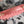 CC 2025 Vanity Bag 19.5cm Coral Pink Caviar Leather