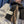 FF 180CM Two-tone Camel Black Wool Cashmere 103886