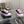 CASUAL SNEAKER IN MAGENTA PURPLE METALLIC LAMBSKIN WITH GOLD LOGO