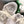 CD Tech Sneakers White Pale Taupe Cowhide Mesh Suede 562671