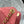 CC 26c Hobo Bag 22cm Hot Pink Suede