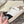 Golden Goose 2025 Star Sneaker Ivory Black mix Gold Suede Cowhide 500612