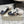 Golden Goose 2025 Star Sabot Shearling-lined Mule Black Beige Cowhide Wool 500586
