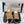 CC Cruise 25/26 Moccasins Black Brown Suede