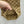 Gucci 2025 Pant Camel and Ebony Polyester Fiber