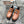 HM Men's First Oxford Loafer Brown Cowhide 590527