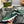 GG Men's Slip on Loafer Green Printed Fabric 721522