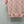 Cardigan à manches courtes en maille jacquard CC 26s Laine rose 344125