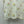 CD Short-Sleeved Sweater Cotton 392675