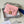 CD 2026 Freesia Card Holder Lambskin