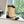 CC 25 Short Boot Beige Calfskin Black Bow 430318