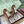 Gucci Shift Damen sneaker Varianten Schwarzes Beige & Dark Brown Canvas and Suede Trim 506841