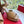 Valentino Fawcette Platform Sandal Beige Patent Leather 702277