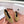 Totem Ballerinas Khahi Suede 760434