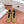 Totem Ballerinas Khahi Suede 760434