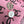 Chemisier à manches longues en polyester rose imprimé CC 26s 367045