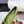 RV Rose Vivier Flower Slingback Flat Pink Green Satin 617284