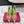 RV Rose Vivier Flower Pumps 10cm Pink Green Satin 617295