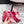 RV Rose Vivier Sandals 10cm Pink Satin 617306