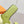 HM 25 Oran Lime Green Fur Leather 348090