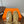 HM 25s Classic Boots Beige Cowhide 422587