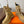 HM 25s Classic Boots Beige Cowhide 422587