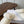 Loewe slippers white leather wool 477789
