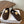 Loewe Birkenstock slippers dark brown wool 477794