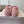 Baskets Jimmy Choo Sunny F en cuir rose et dentelle
