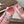 Baskets Jimmy Choo Sunny F en cuir rose et dentelle