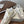 Brunello Flannel Runners With Monili Ivory Grey Suede 624477