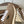 Brunello Runners With Shiny Tab Taupe Suede 624492