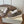 Brunello Runners With Shiny Tab Dark Taupe Suede 624494