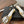 CC Classic Camélia Slingback Plat Cuir Beige Blanc 624231