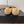 CC 26s Ballet Flats Beige Yellow Lambskin 624241