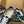 Prada 26ss Casual Shoes Green White Canvas 624428