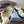 Prada 26s Fisherman's Sandals Ivory Leather 727673