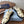 Prada 26s Fisherman's Sandals Ivory Leather 727673